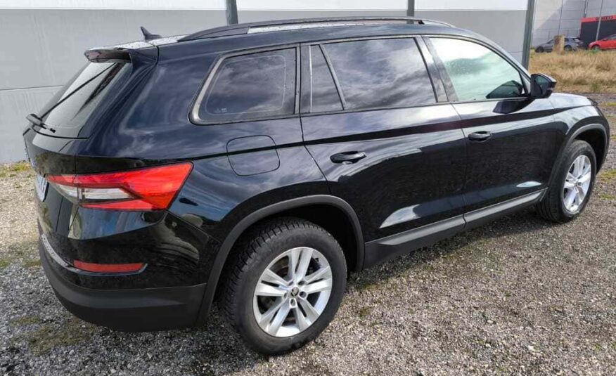 kodiaq 13